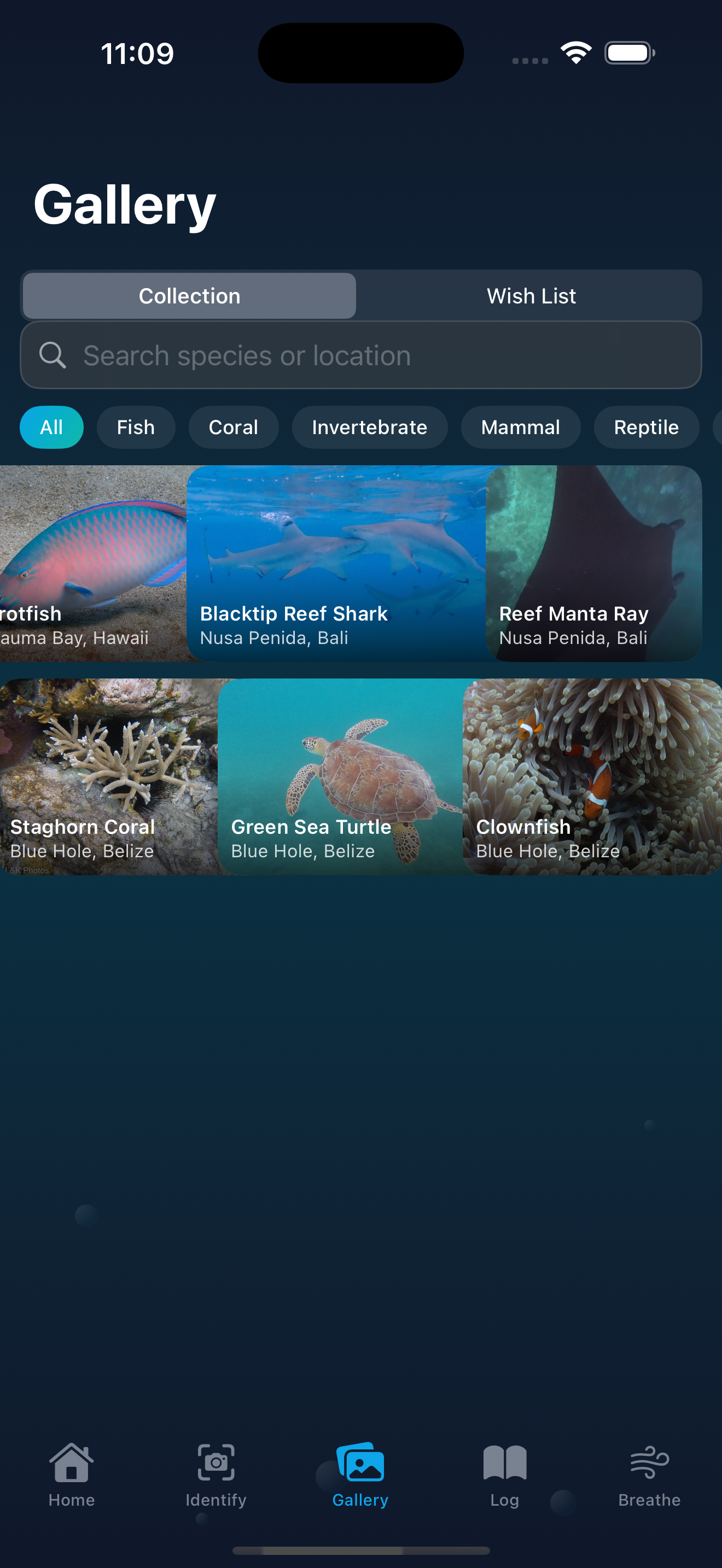 Species gallery